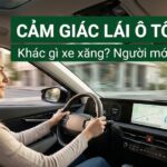 Xăng E10 Là Gì? Hướng Dẫn Toàn Tập Về Xăng Sinh Học E10 Cho Xe Máy Và Ô Tô
