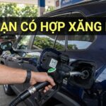 Xe nào dùng được xăng E10? Danh sách xe tương thích và lưu ý quan trọng